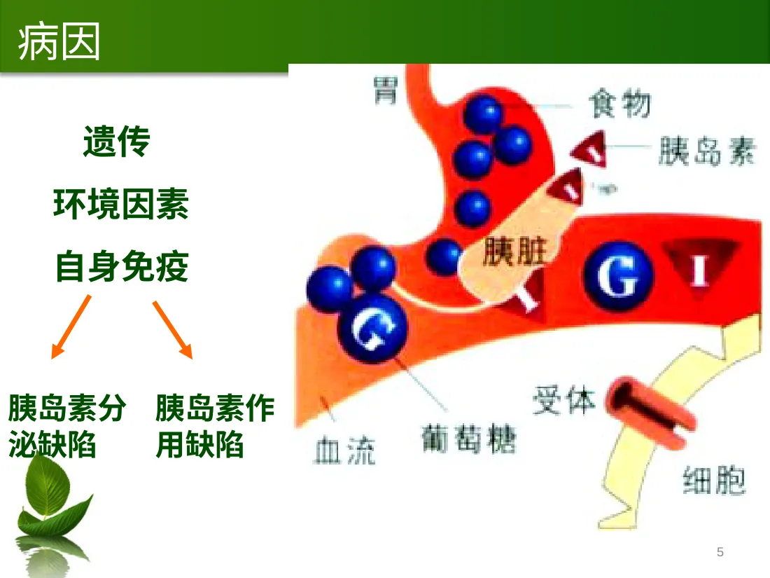 儿童糖尿病的护理查房 预览图