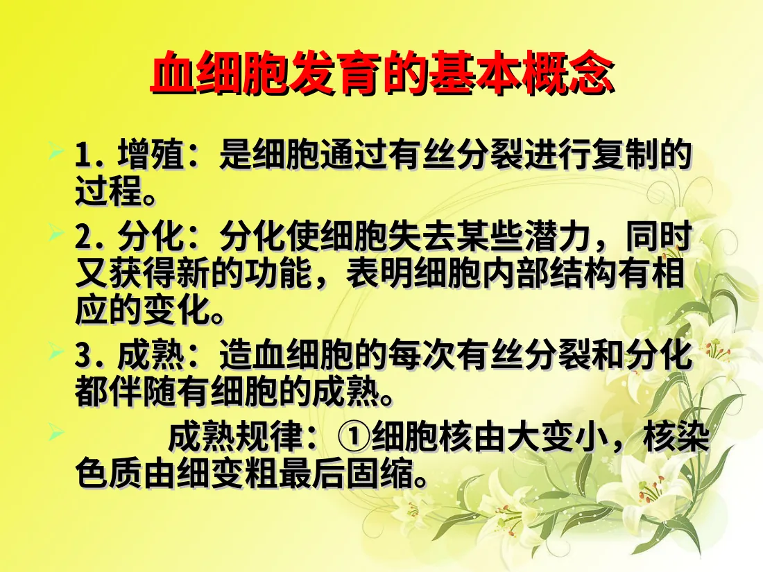 儿童造血和血象特点(黄色版) 预览图
