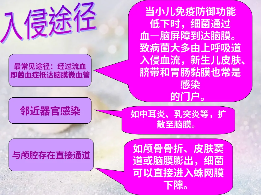 化脓性脑膜炎PPT 预览图