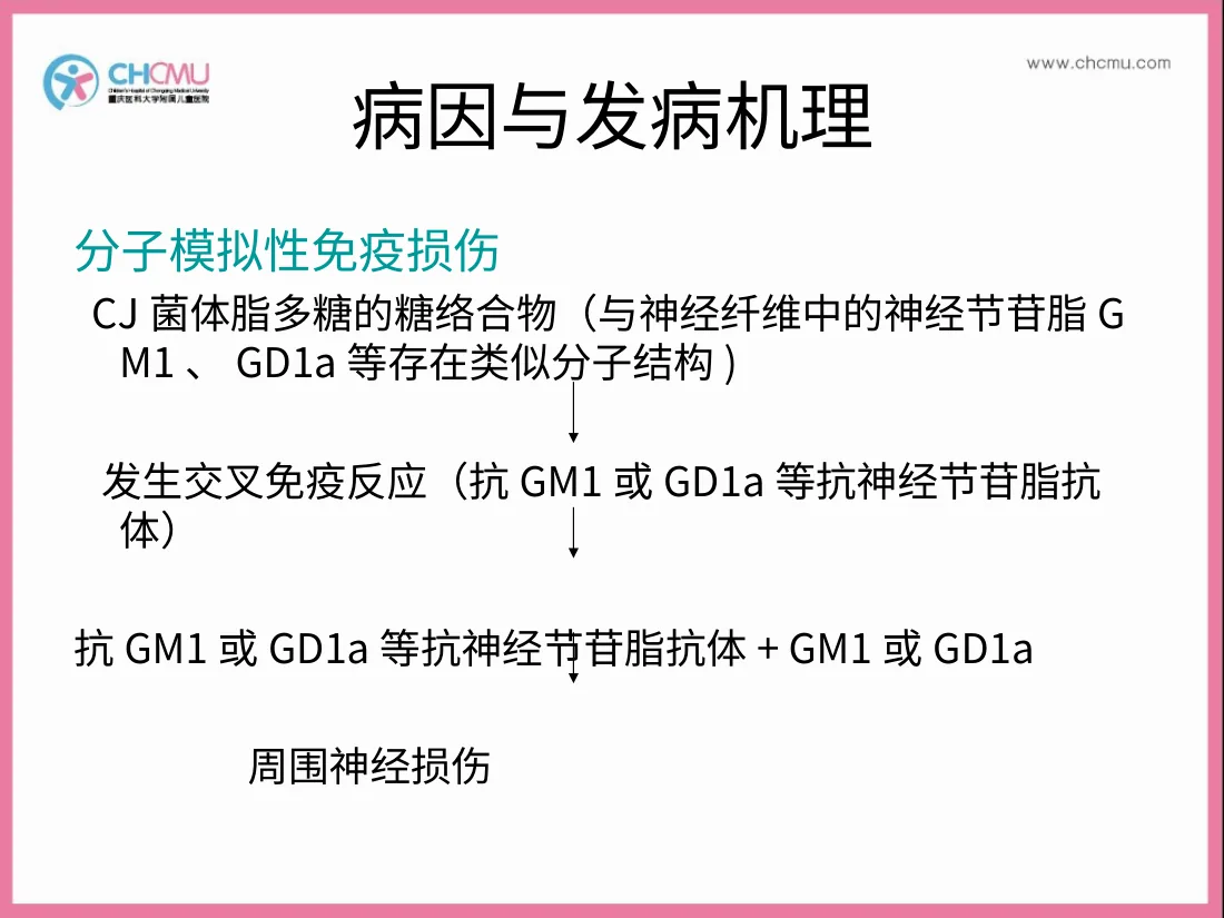 吉兰 巴雷综合征 预览图