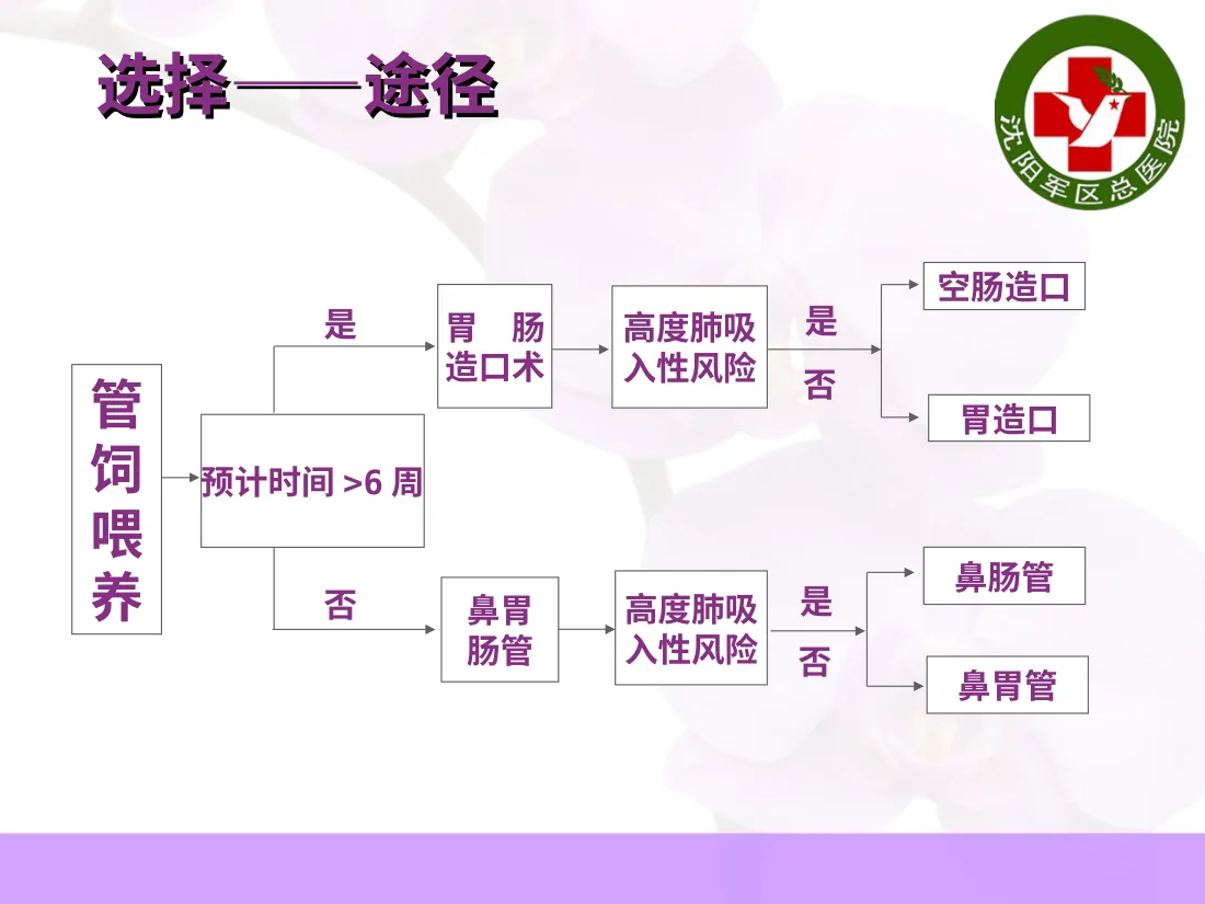 空肠喂养置管及维护 预览图