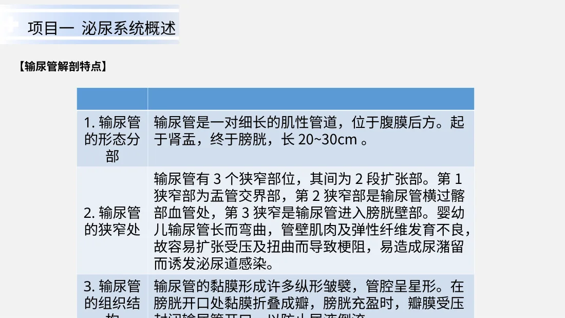 泌尿系统疾病患儿的护理 预览图