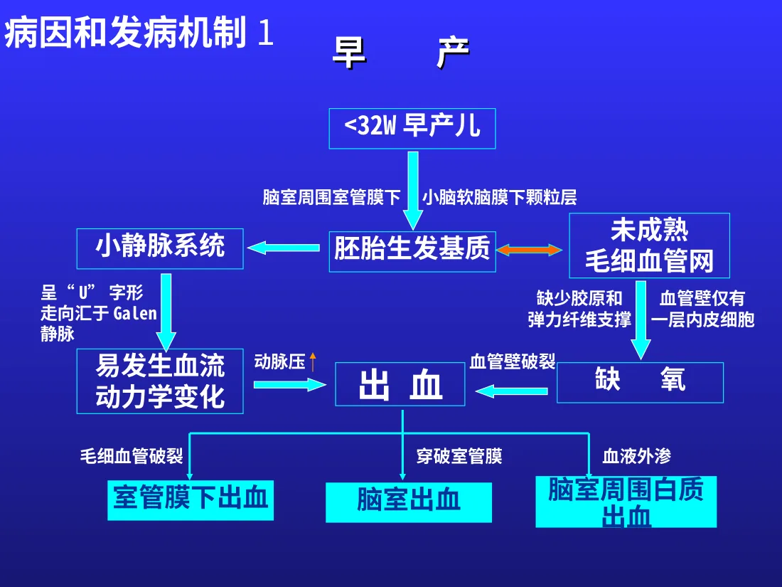 新生儿颅内出血 预览图