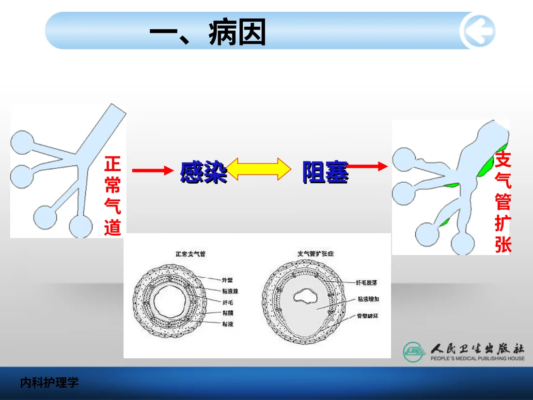 07.呼吸系统病病人护理 预览图