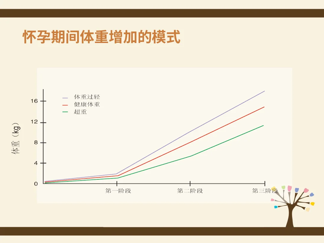 054.孕期规划 预览图