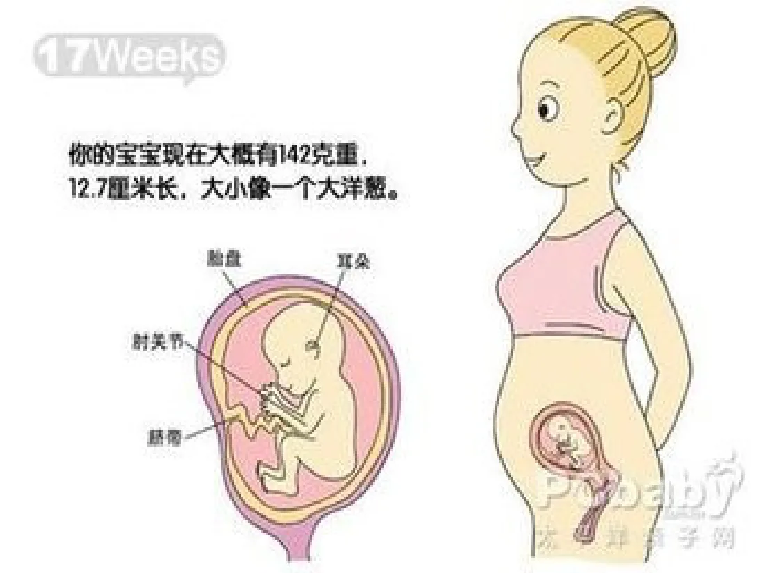 059.分娩室里的奥秘 预览图