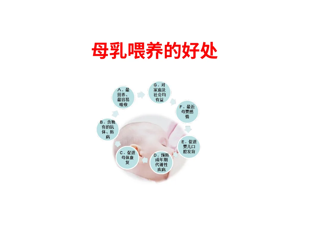 064.母乳喂养 预览图