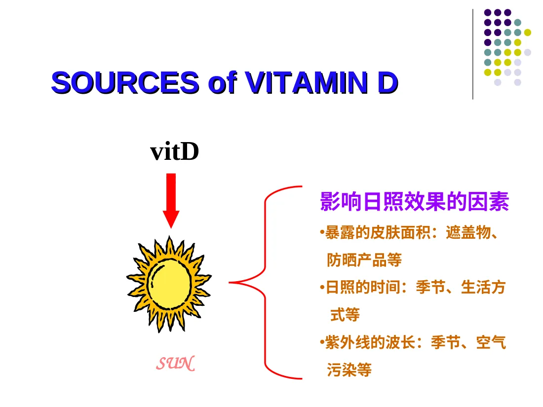 VitD的营养 预览图
