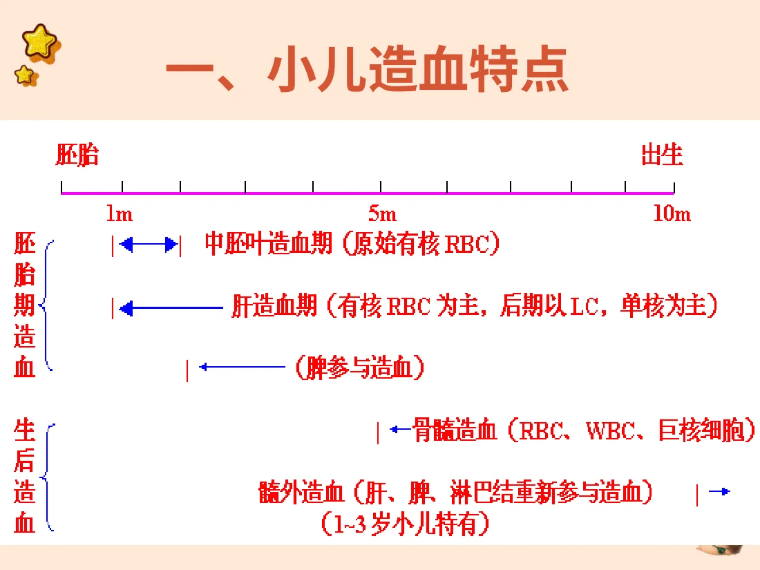 儿科学8造血系统疾病 预览图