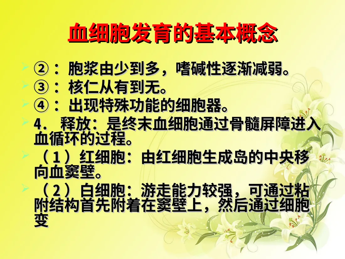 儿童造血和血象特点(黄色版) 预览图