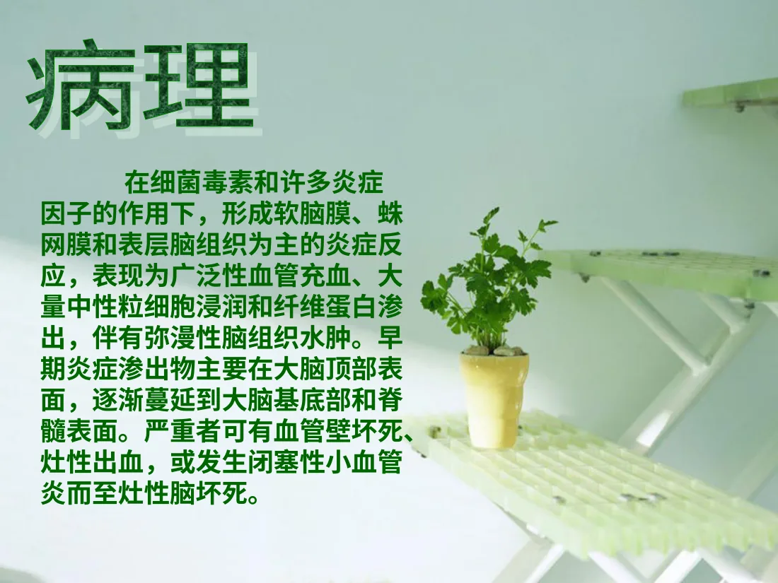 化脓性脑膜炎PPT 预览图