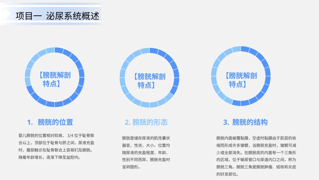 泌尿系统疾病患儿的护理 预览图