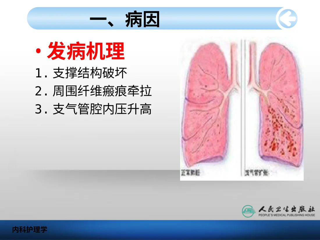07.呼吸系统病病人护理 预览图
